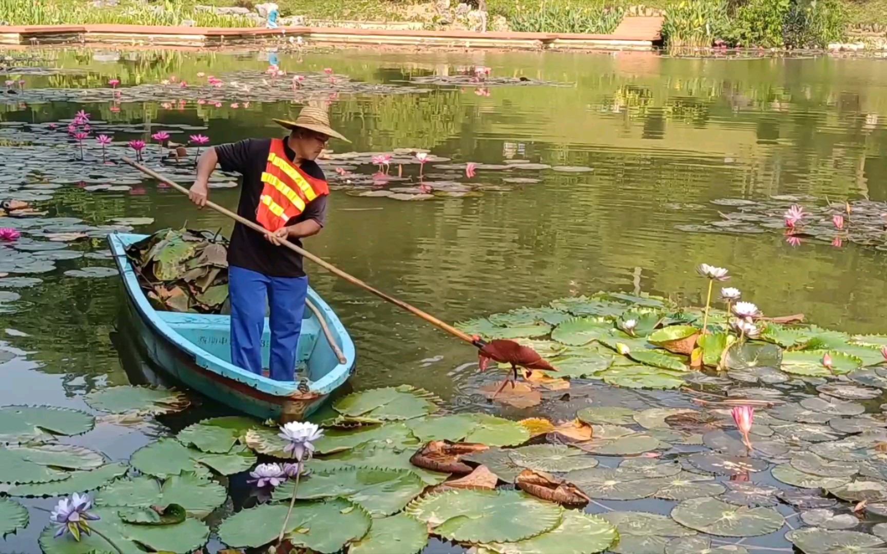 [图]小船上的帅哥在做什么