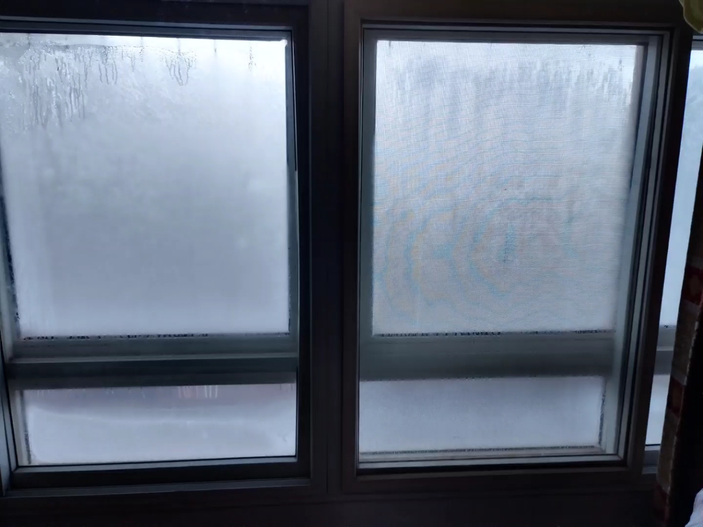 窗结冰,大闸蟹,儿子.