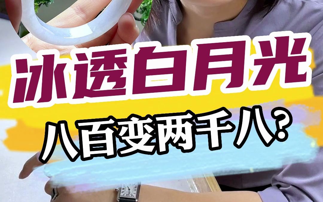 800块钱的冰透白月光,明哥这回是真把智哥当兄弟了!