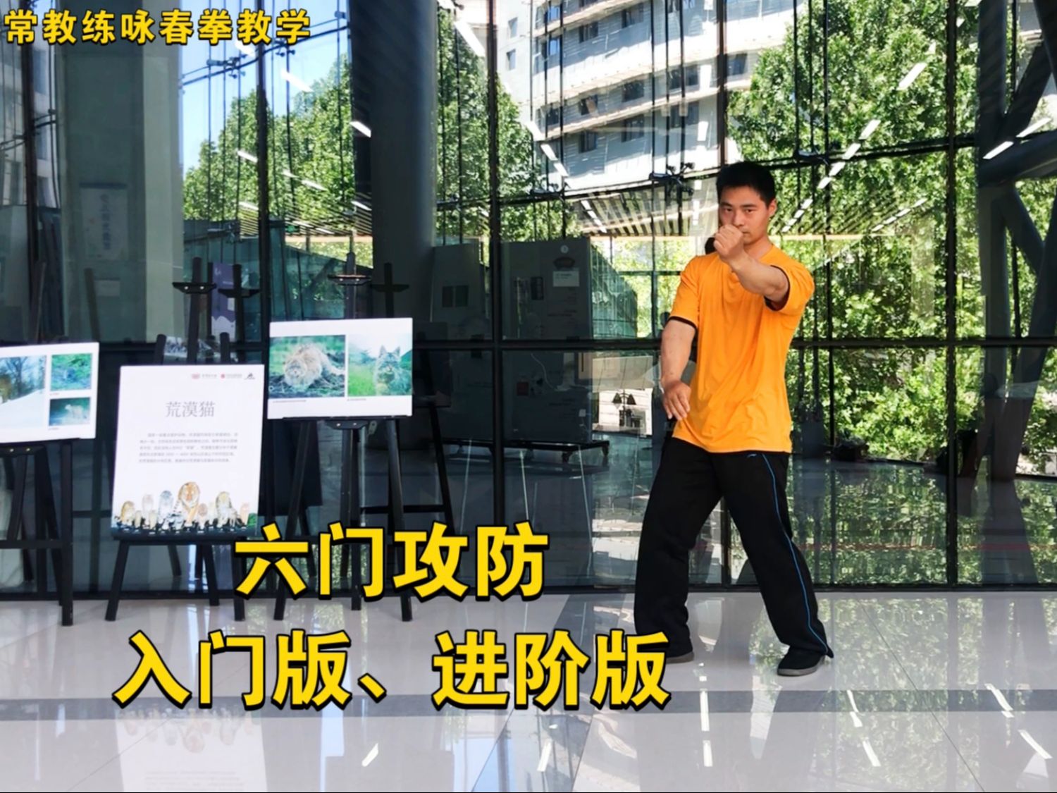 六门攻防入门版,进阶版 北京咏春拳教学