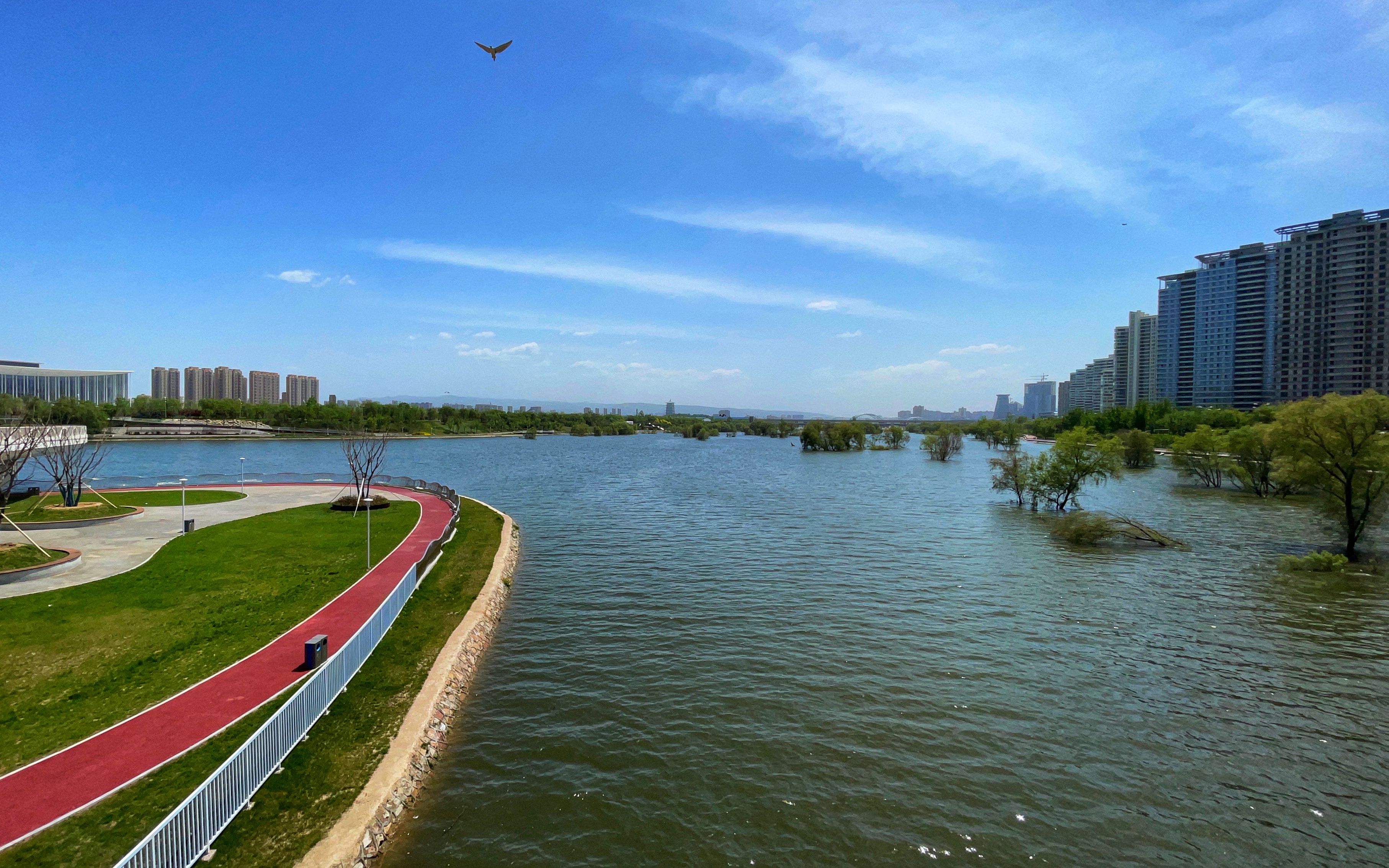 「4k hdr」西安浐灞-在天桥上欣赏灞河美景