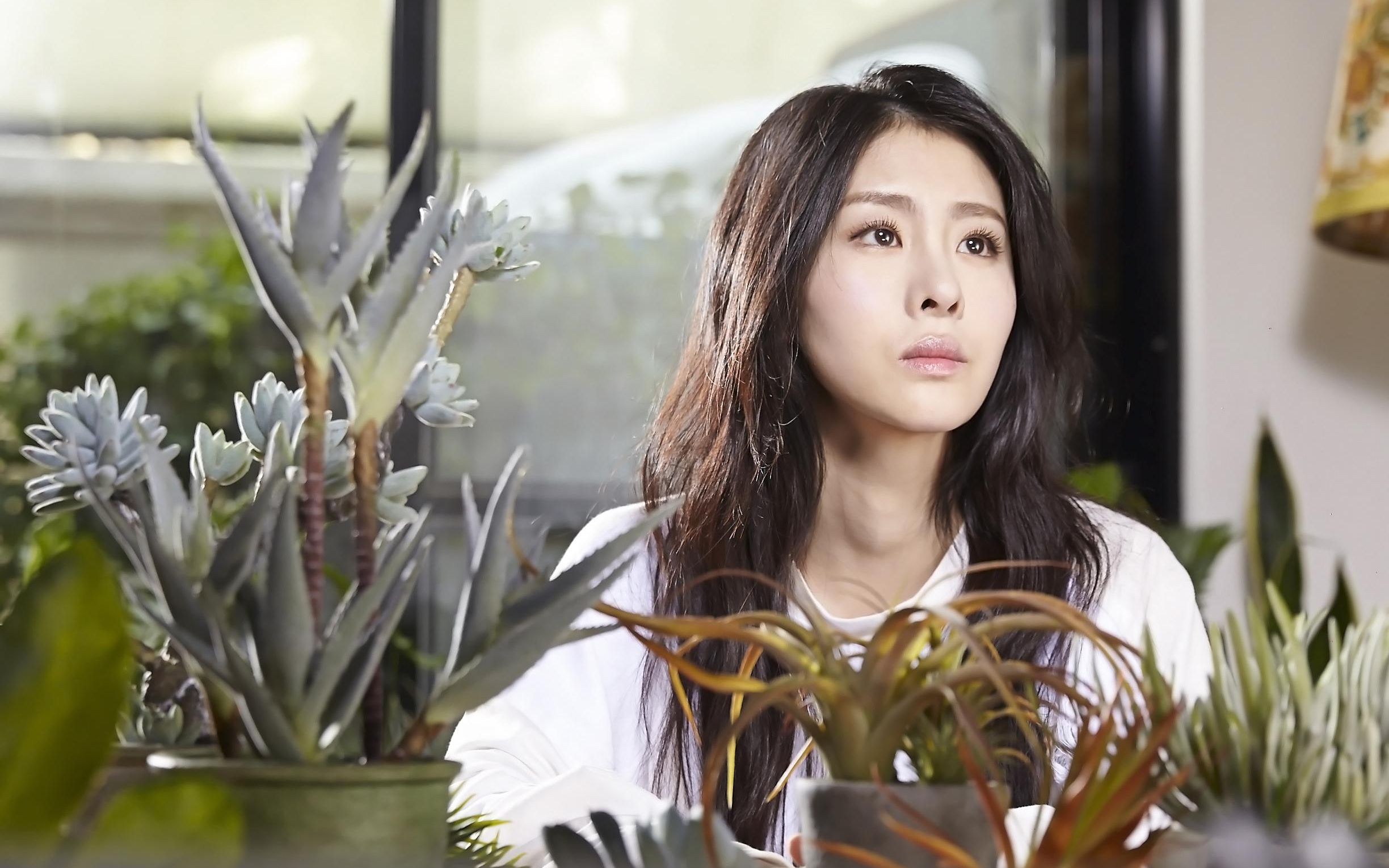 唱游天下:张碧晨一首《红玫瑰》唱响伦敦,外国评委听得津津有味