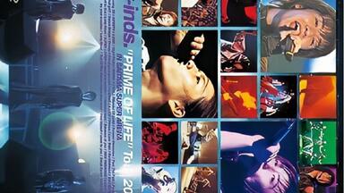 w-inds. Live Tour 2003“THE SYSTEM OF ALIVE”(Blu-ray)_哔哩哔