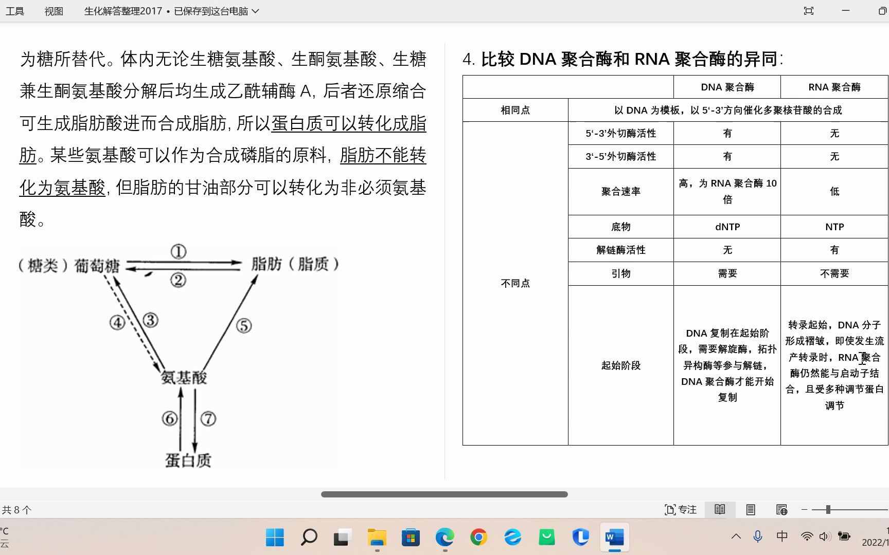 生化简答论述5哔哩哔哩bilibili