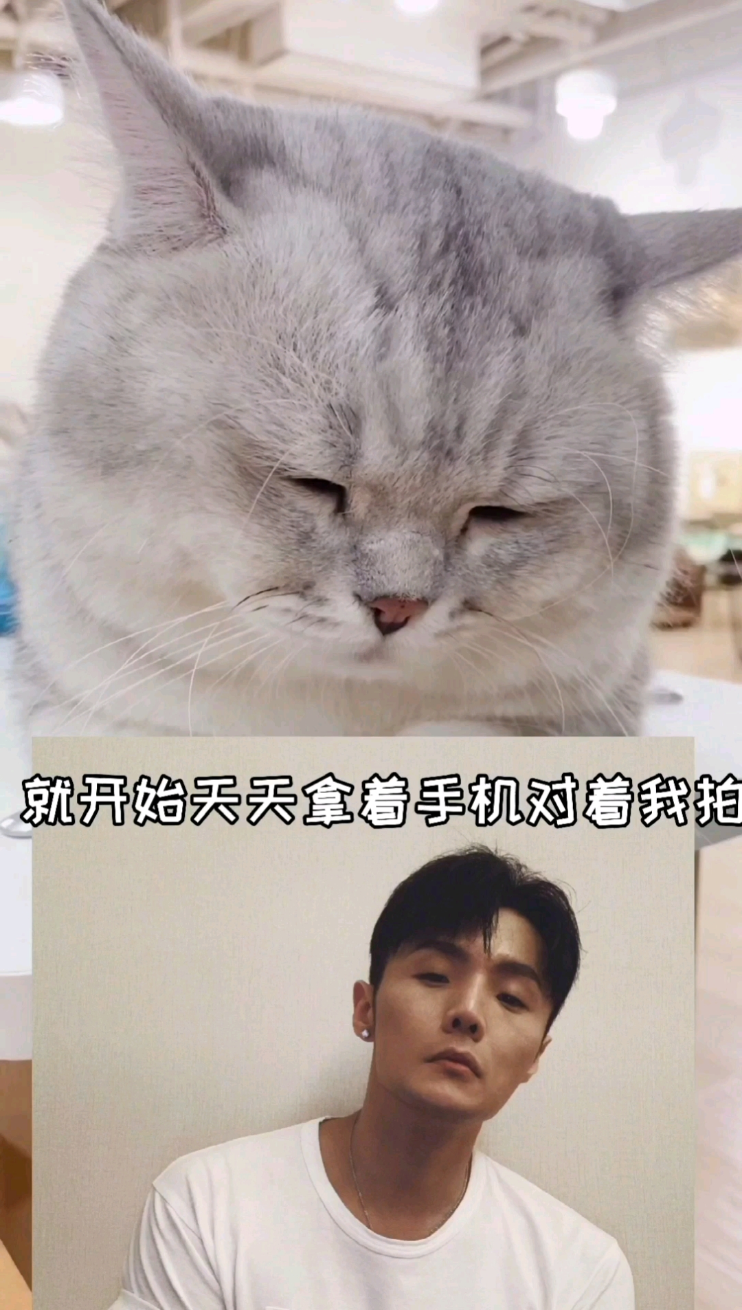 猫喵星人李荣浩一只想出道的大脸猫大家看看能不能红