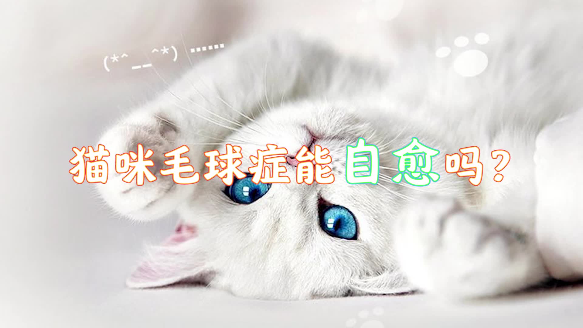 猫咪毛球症可以自愈吗哔哩哔哩bilibili