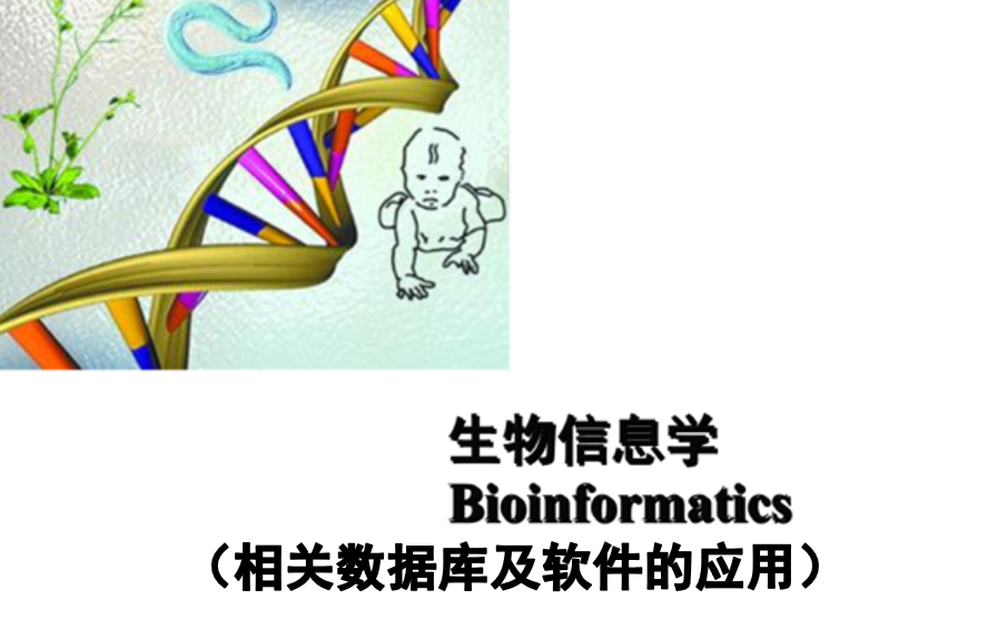 [图]【完整版】生物信息学基础入门（含数据库详述及部分软件介绍）