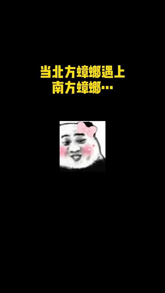 北方蟑螂还怪可怜的哔哩哔哩bilibili