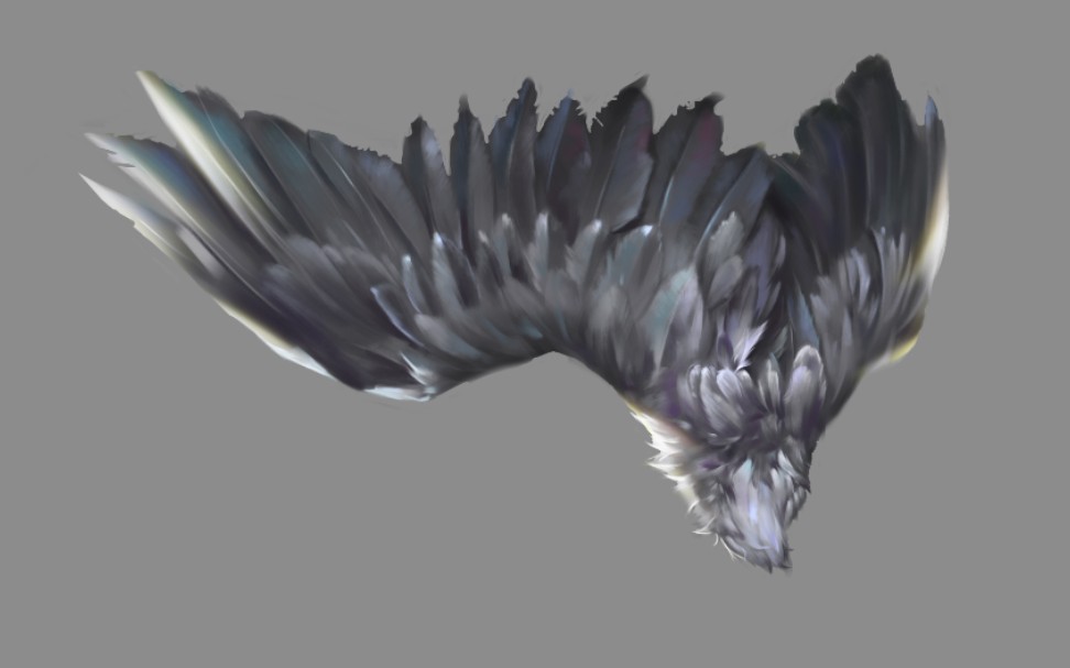 【板绘】厚涂绘制翅膀