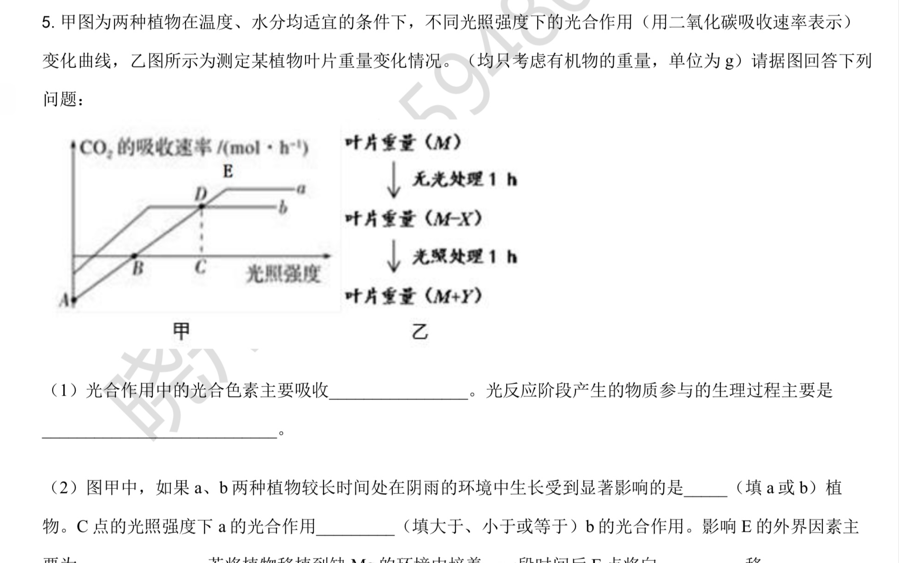 光合题,甲图为两种植物在温度、水分均适宜的条件下,不同光照强度下的光合作用(用二氧化碳吸收速率表示)变化曲线,乙图所示为测定某植物叶片重量...