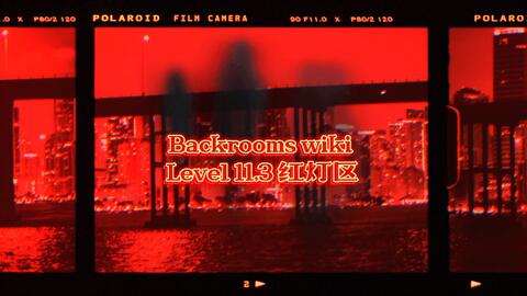 Level 11.3 - The Backrooms