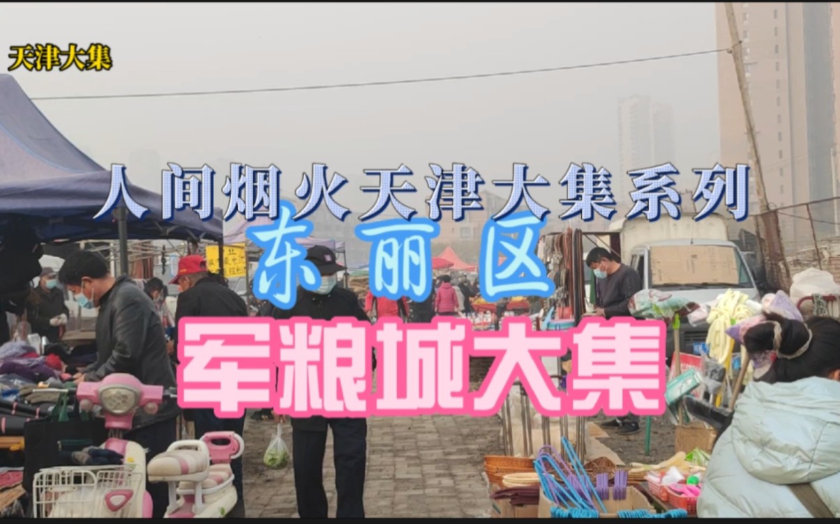 天津东丽区军粮城逢周二五大集,十里八村的乡亲们都来了,挺热闹哔哩哔哩bilibili