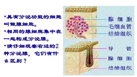 【沈阳慈一堂客服孙宁】最新视频已上线,快来围观!哔哩哔哩bilibili