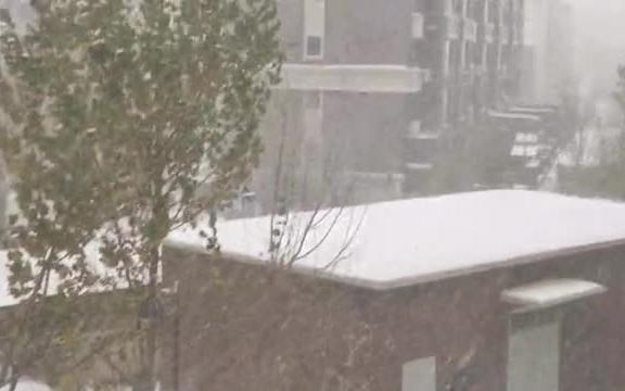 东北下起大雪!大雪纷飞哗哗落下!雪舞季节都在想念谁?记录烟火哔哩哔哩bilibili