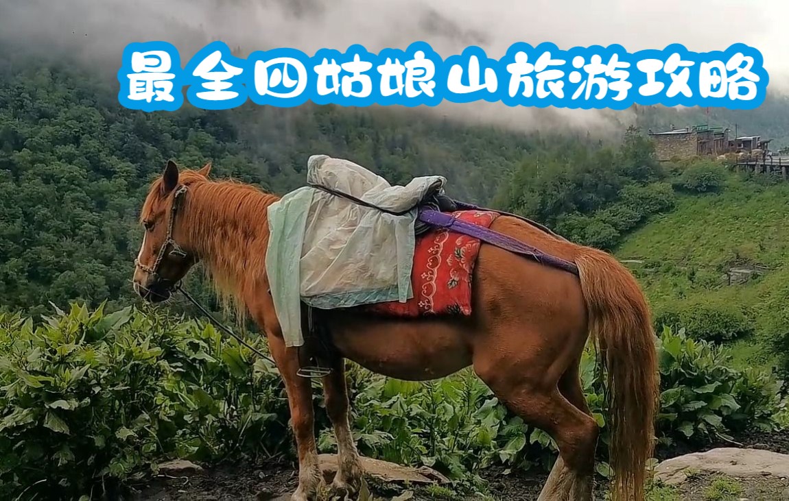 一图读懂四姑娘山旅游,配有现场专业解释,四姑娘山详细攻略有了哔哩哔哩bilibili