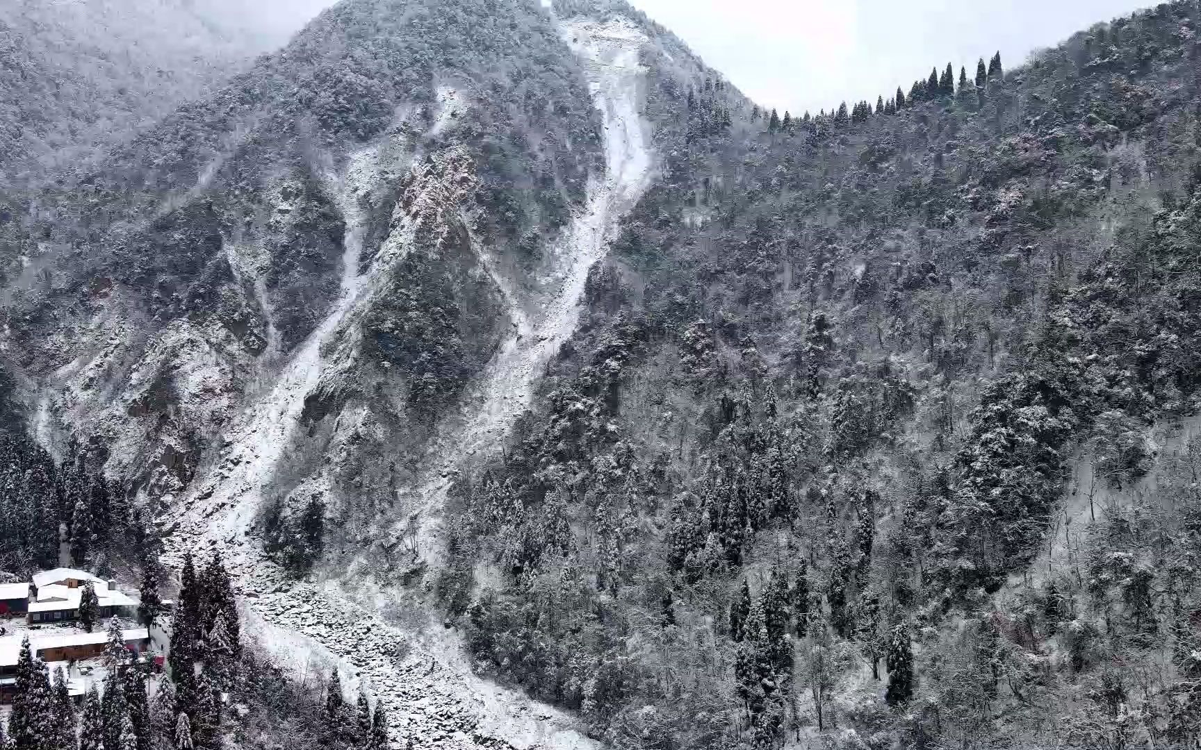 活動作品20220131彭州九峰山看雪