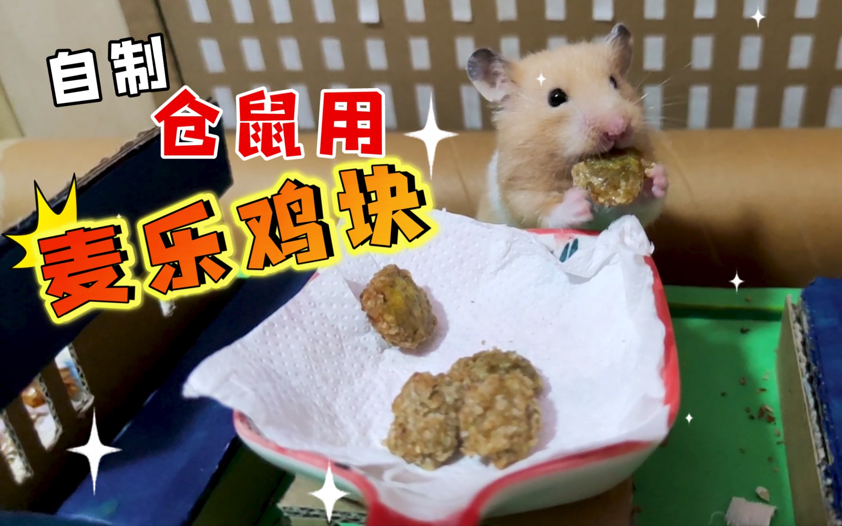 自制仓鼠用麦乐鸡块~家里的两只终于吃上肉了【角角酱的零食】