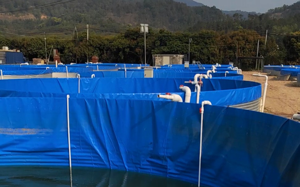 镀锌板帆布养殖鱼池