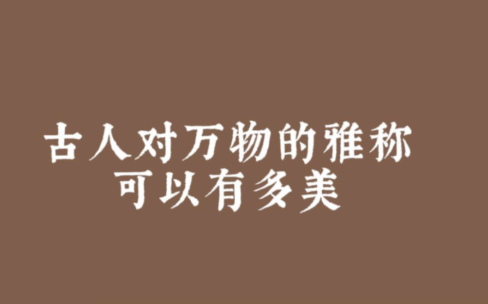 古人对万物的雅称到底有多美?风是扶摇,云叫纤凝.山叫翠微,海是苍渊.雨是灵泽,雪叫寒酥太空叫碧落,大地是坤灵.星河是玉宇,银河叫星汉.哔...