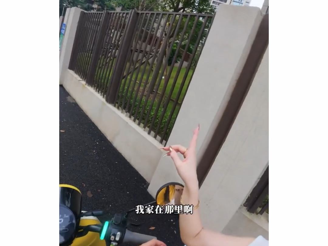 站长我上线还不行吗