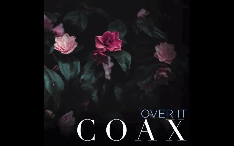 【搬运】看门狗军团插曲COAX  Over It看门狗