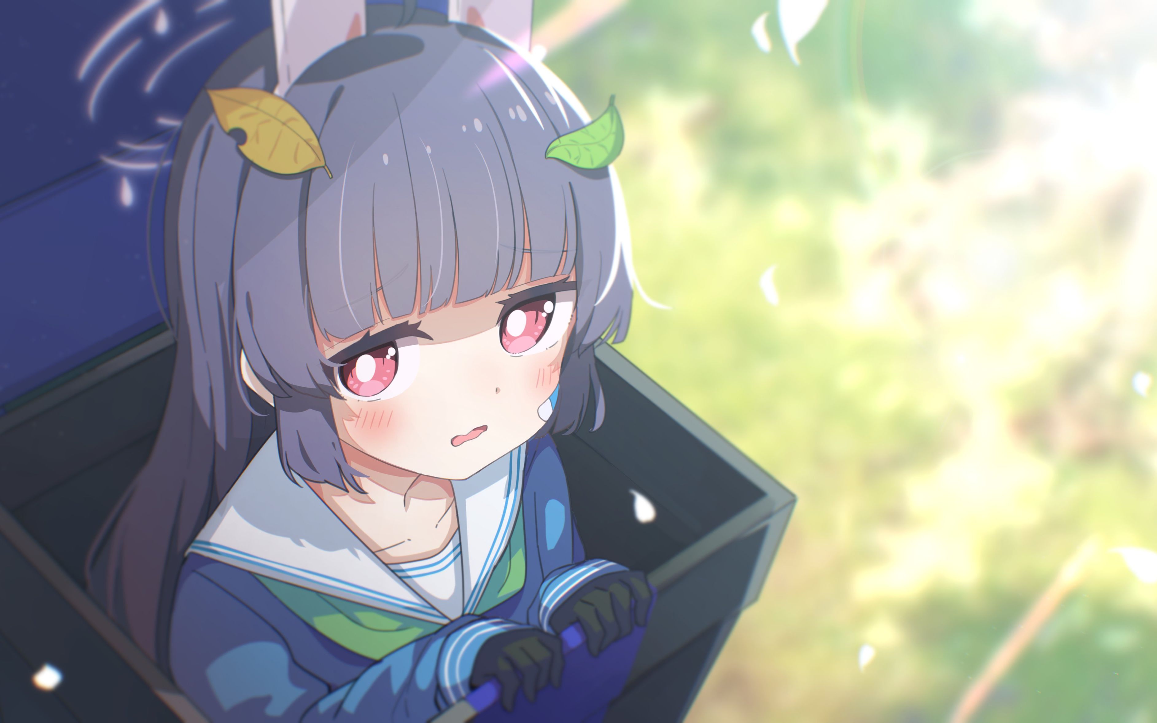 碧蓝档案] kuse | nor - カルバノグの兎 main theme  hdrx 自赏