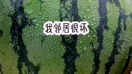 居心不良之邻居哔哩哔哩bilibili