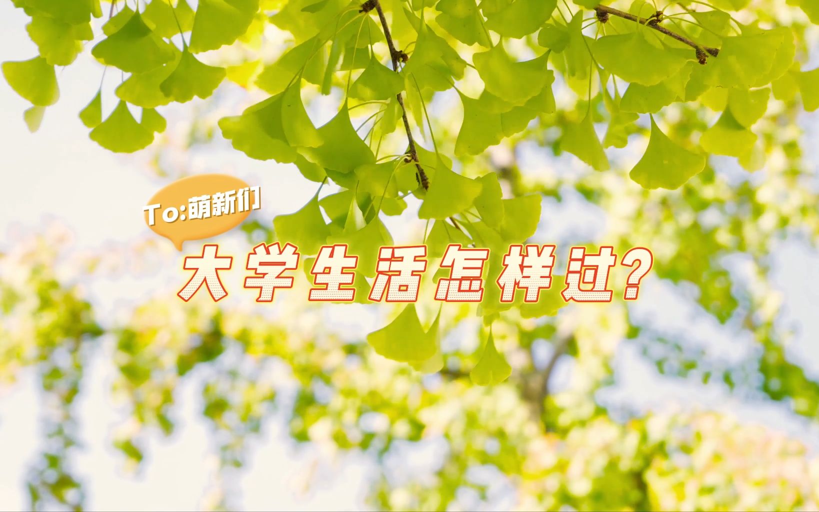 干货分享:大学生活怎样过?哔哩哔哩bilibili