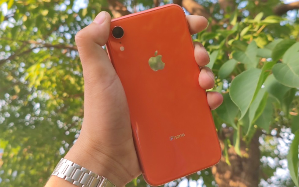 白开水冷饭iphonexr珊瑚色出片