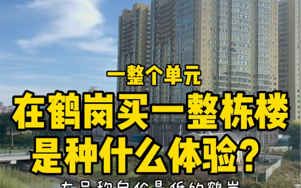 在鹤岗买一整栋楼 是种什么体验?要花多少钱?哔哩哔哩bilibili