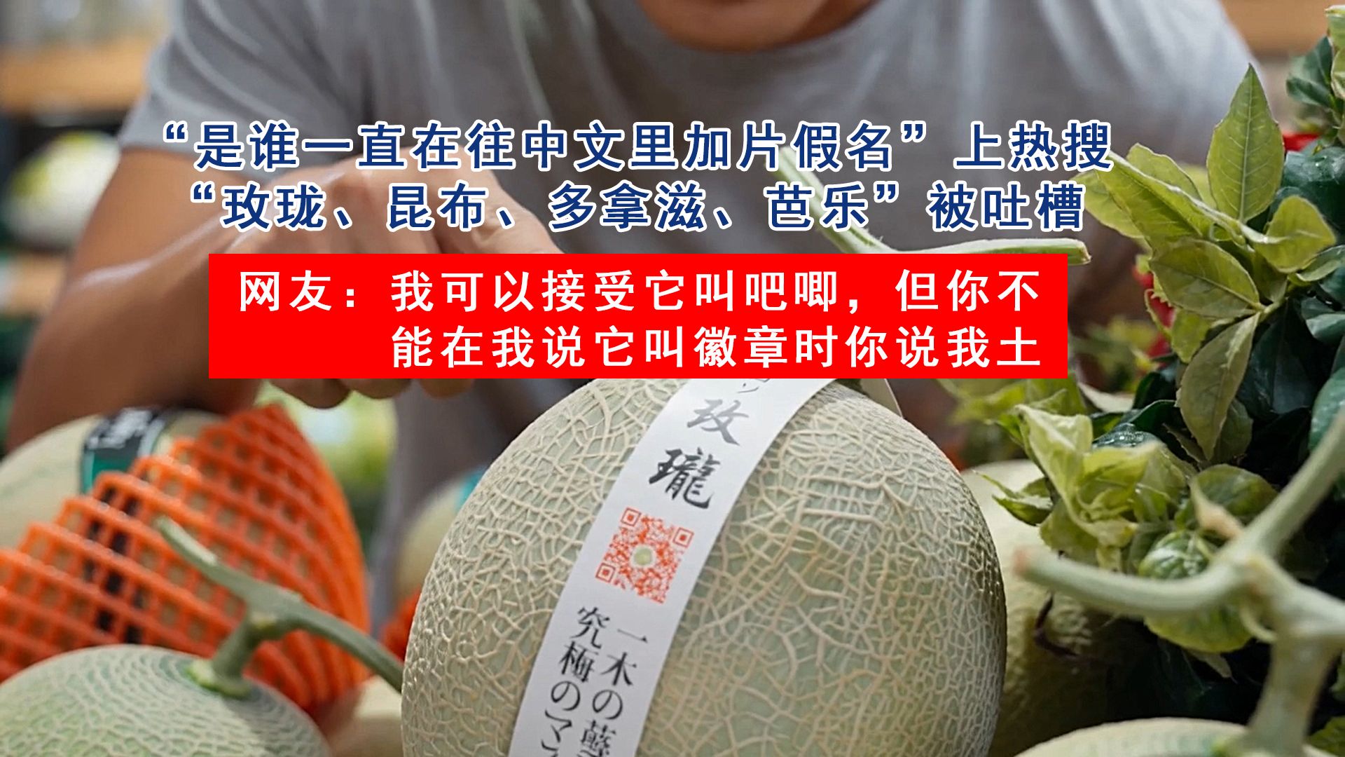 “是谁一直在往中文里加片假名”上热搜 ，“玫珑、昆布、多拿滋、芭乐”被吐槽