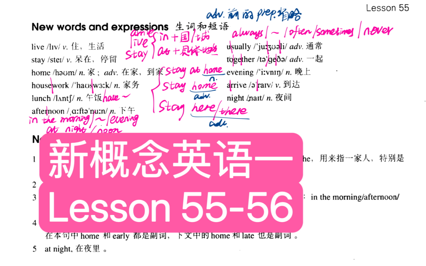 新概念英语一 Lesson 5556【一般现在时】哔哩哔哩bilibili