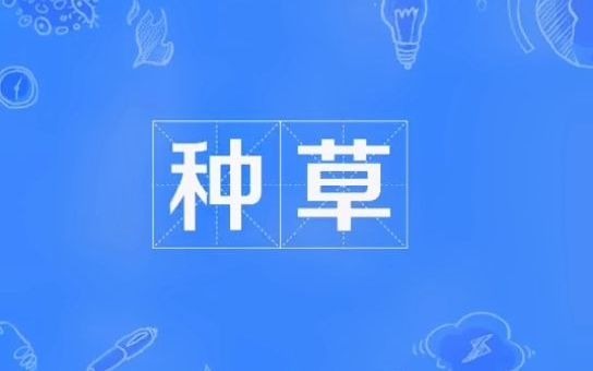 安利你还不懂吗?哔哩哔哩bilibili