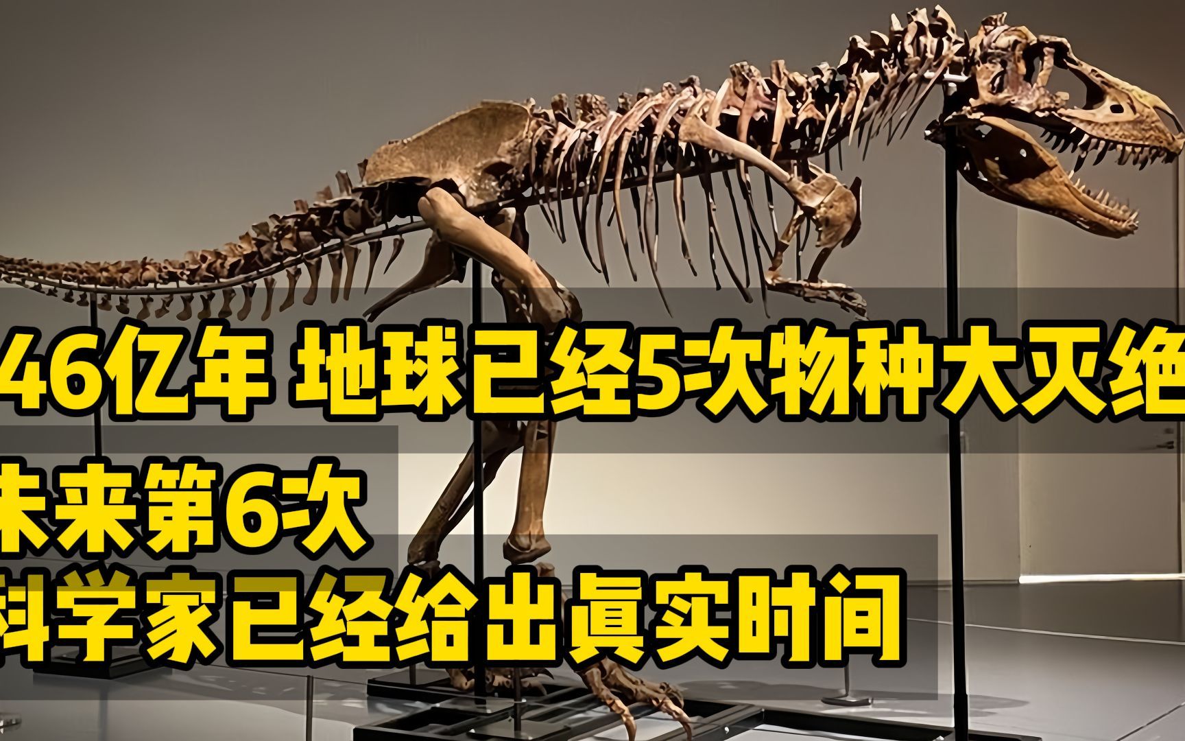 46亿年 地球5次物种大灭绝 第六次 科学家已经给出真实时间