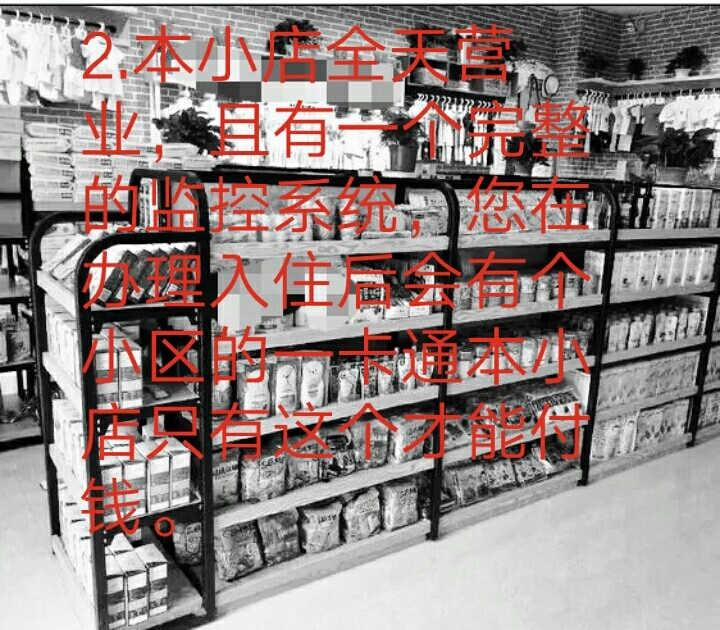 生存小镇居民小区小店购买规则.哔哩哔哩bilibili