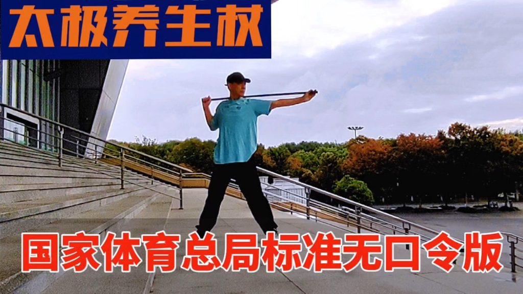 太极养生杖分解教学完整版下载(太极养生杖分解教学完整版下载视频)