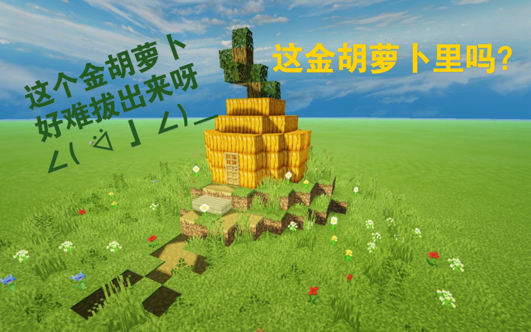 活动作品mc教程5这金胡萝卜里吗