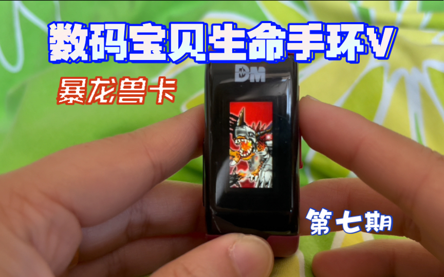 【光头养宠录】数码宝贝生命手环v|暴龙兽卡|第七期