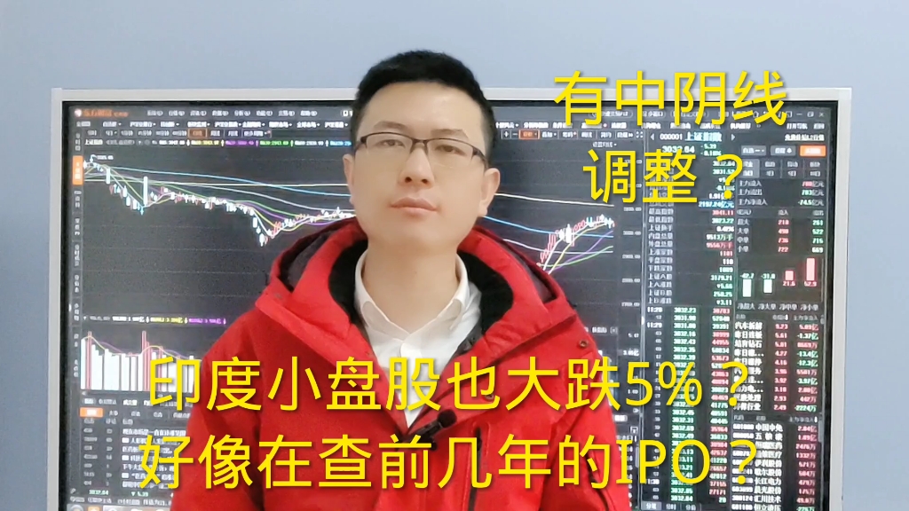 印度小盘股也大跌5%?好像要查前几年的IPO?A股有中阴线调整?哔哩哔哩bilibili