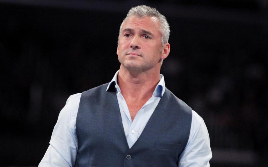 top 30 moves of shane mcmahon_哔哩哔哩_bilibili