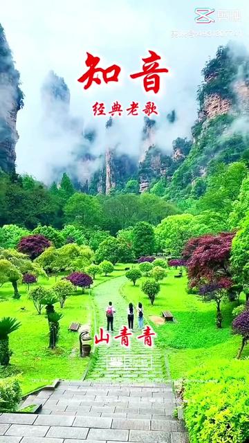 欣赏歌曲《知音》 .