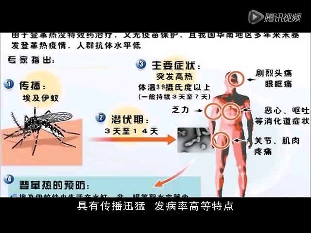 揭阳市预防登革热宣传片国语版哔哩哔哩bilibili