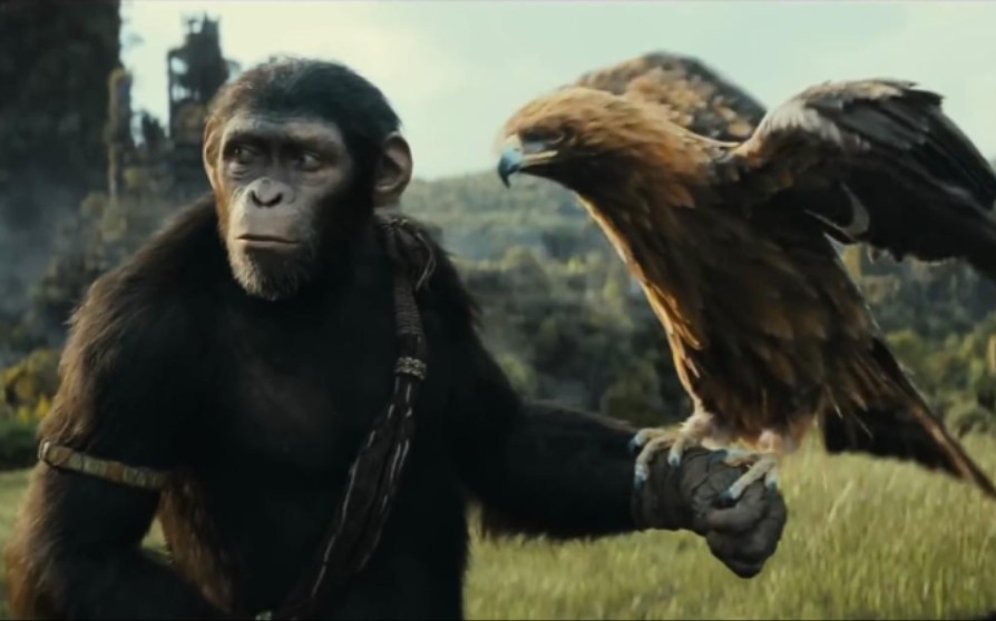 [图]人类退化，猩球崛起—新世界《Kingdom of the Planet of the Apes 》猩球崛起4