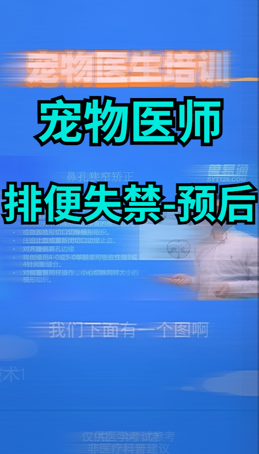 宠物医师学习犬猫排便失禁预后的学习哔哩哔哩bilibili