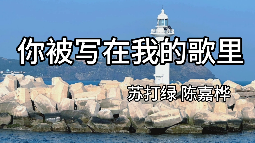 【收录】《你被写在我的歌里》苏打绿 陈嘉桦|纯音频分享