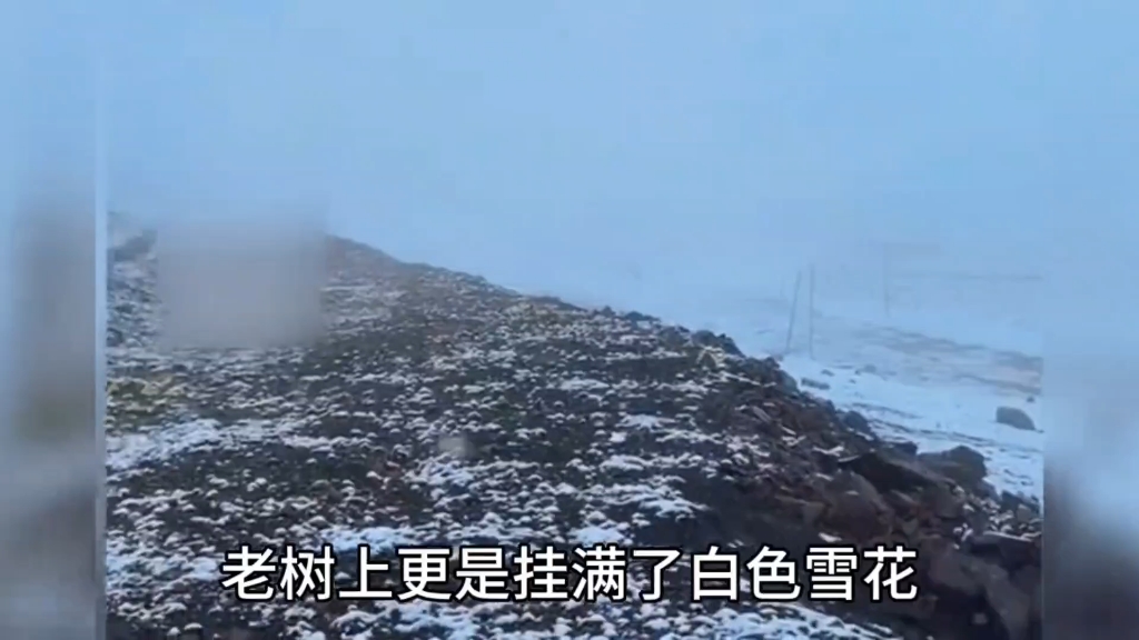 甘肃祁连山七月下大雪,夏季一秒入冬,网友称:又一次入夏失败