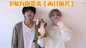 金泰亨 闵玧其唱 两只老虎 太可爱了 哔哩哔哩 つロ干杯 Bilibili
