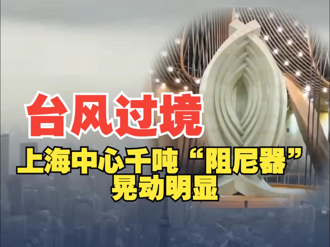 台风“贝碧嘉”过境 上海中心千吨“阻尼器”晃动明显 上海取消航班超1400班次哔哩哔哩bilibili