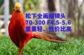 Tải video: 松下70-300长焦镜头体验！