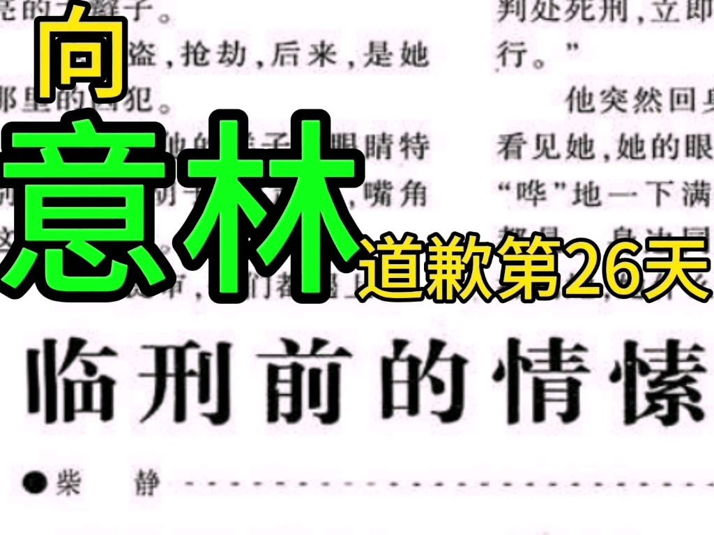 向意林道歉第26天临刑前的情愫人可以犯很多罪但是爱没有罪?柴静哔哩哔哩bilibili